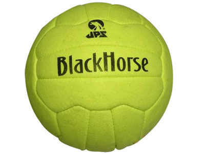 Indoor Soccer Ball /Black Horse